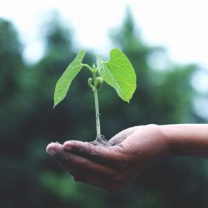 360-Grow Seed Starter Mix